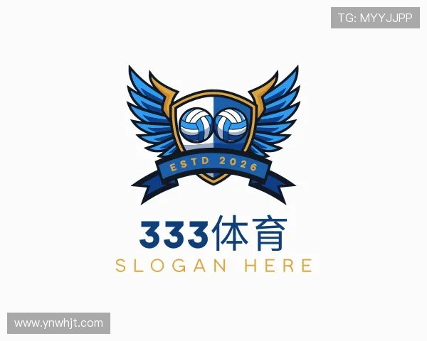 发现333体育入口